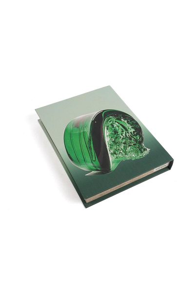 Mikasa Moor Green Frozen Moment Book Box 29x22x4cm