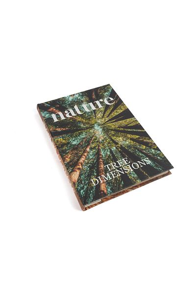 Mikasa Moor Nature Forest Book Box 35x24x3cm