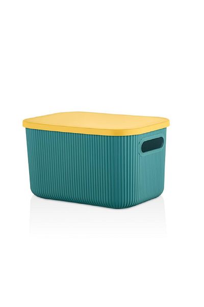 Bayev Storage 6 Lt Green Multi-Purpose Closet Organizer 1 Box with Lid, Decorative Storage Box