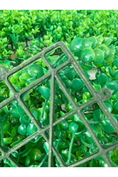 DDTREND Dekoratif Yapay Bitki Duvar Kaplama Panel Şimşir Tabaka 40x60 cm Yeşil Dikey Bahçe