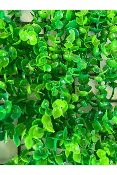 DDTREND Dekoratif Yapay Bitki Duvar Kaplama Panel Şimşir Tabaka 40x60 cm Yeşil Dikey Bahçe