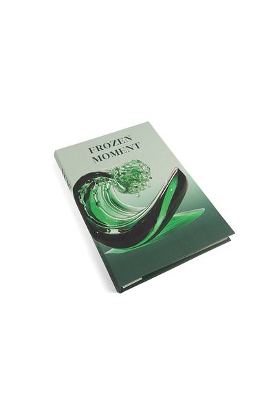 Mikasa Moor Green Frozen Moment Book Box 35x24x3cm