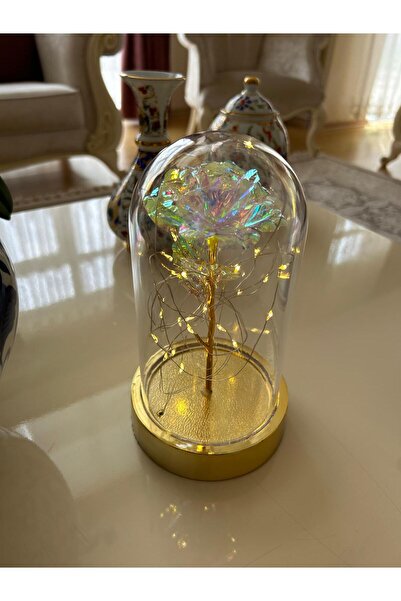 Efor aksesuar FANUS İÇERİSİNDE DEKORATİF GÜN IŞIĞI PERİ LEDLİ SONSUZLUK GÜLÜ,...