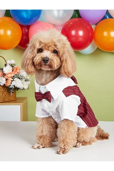 Dolce Pets Kedi Köpek Kıyafeti/ Köpek Takım Elbise/bordo