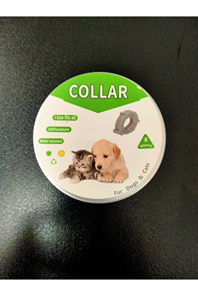 Dalian Home Kedi Köpek Evcil Hayvan Pire Önleyici Tasma Pire Tasması Tasması ...