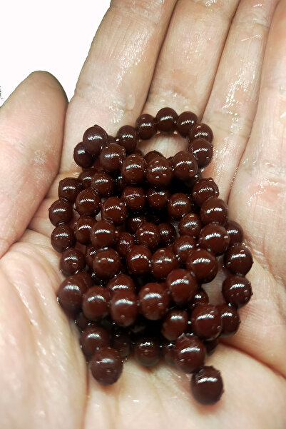 sr sazanrig Renatbait Deniz ve Tatlı Su Levrek Çupra Alabalık  Kahverengi Silikon Yem Kokulu 6 mm (90 adet)