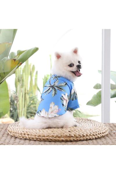 Dolce Pets Kedi Köpek Kıyafeti/ Mavi Gömlek