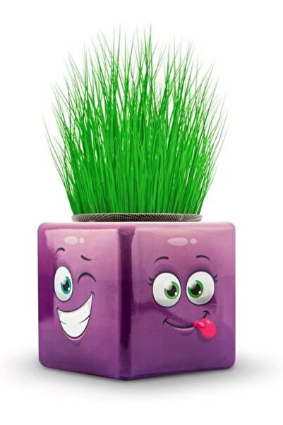 Emrah Gültekin 1 قطعة الجيل الجديد من سيموجي 3 جوانب إيموجي مكعب العشب هدايا المدرسة ومرحلة ما قبل المدرسة العشب الرجل