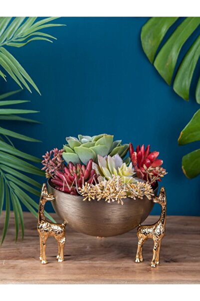 MIARIK DESIGN & DEKORASYON Zürafa Ayaklı Kase