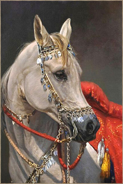 Rugs Modern Halı Animal Turuncu Tonlarda At Hayvan Desenli Dekoratif Halı mir...