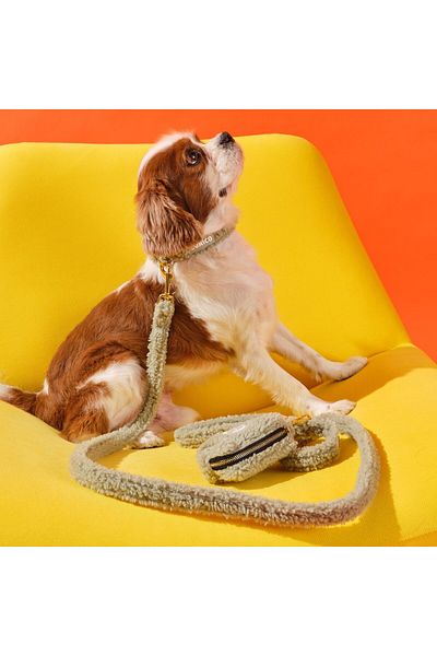 Bunico Green Teddy Dog Collar Set