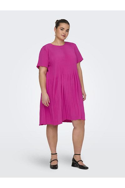 Only Carmakoma Plissiertes Kleid Carbadotte Kurzes Kleid