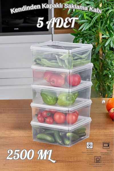 Tiklasende 5 PCS SQUARE, WITH SELF LID, DEEP FREEZER FIT STORAGE BOWL, ORGANIZER