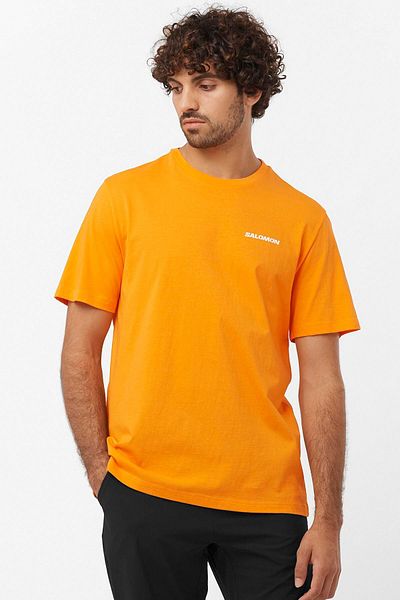 Salomon Ανδρικό T-Shirt Graphic Performance - Πορτοκαλί