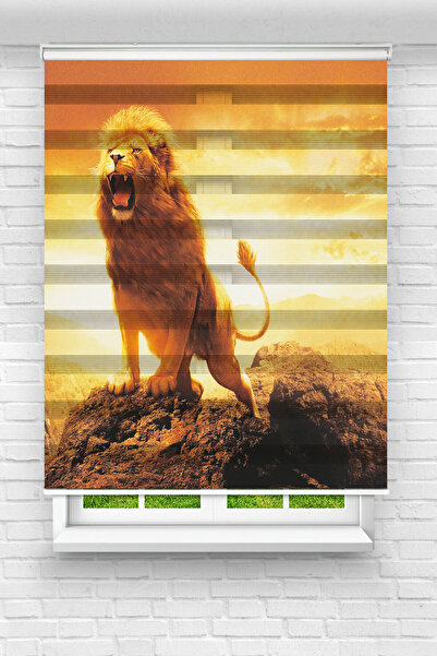 akel collection Genç Odası - Şampiyon Aslan Baskılı Zebra Perde