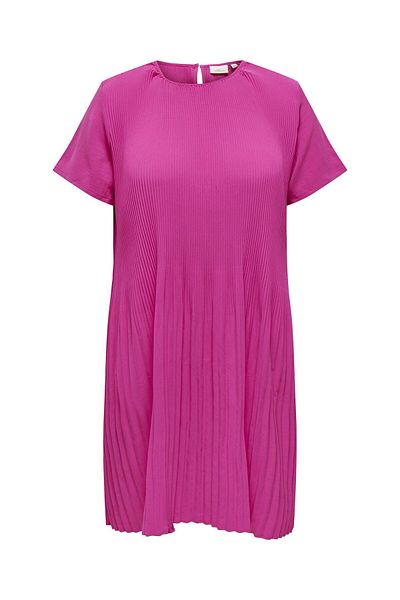 Only Carmakoma Plissiertes Kleid Carbadotte Kurzes Kleid