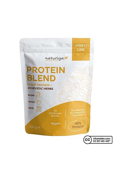 Naturiga 250 Gr Ayuvedik Protein Mix