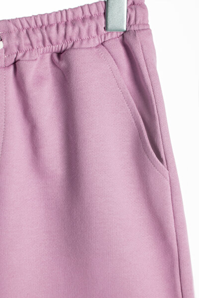 ADEGO Men's Lilac Basic Regular Fit Shorts & Bermuda