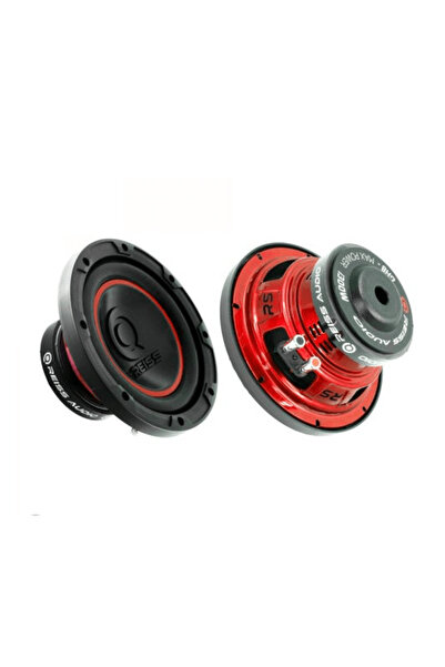 Reiss REİS AUDİO RS-GH8.S4 20CM 300W SUBWOOFER