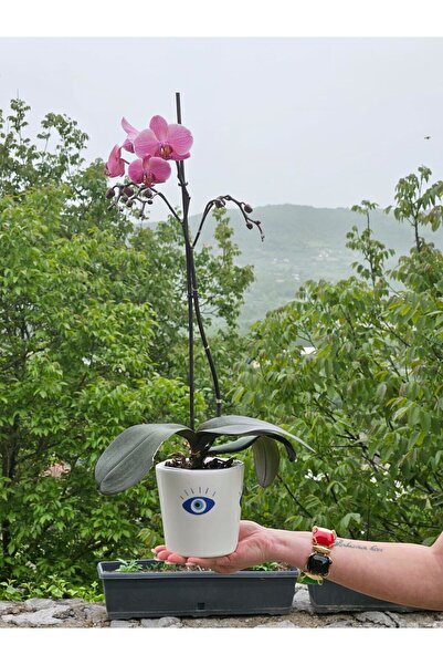 MeGgDecor Altı Delikli Nazar Göz Seramik Saksı