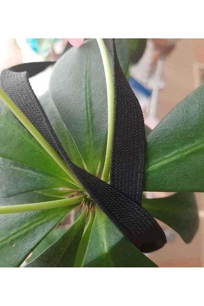 Beyna 20 Meters Black Waist and Leg Rubber - 1 cm