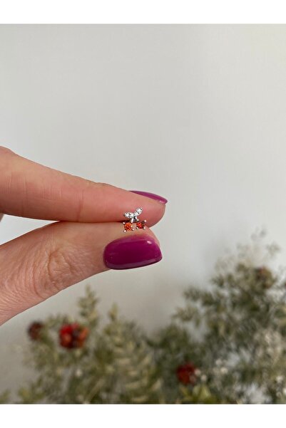 ACCESSORIES WORLD Zirkon Taşlı Kırmızı Kiraz Model Gümüş Renk Cerrahi Çelik T...