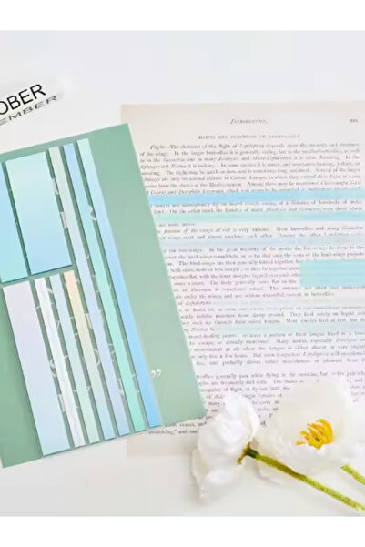 EZOSHOP Şeffaf Renkli Postit Yapışkan Post-it Not Kağıdı Karma Şerit 3