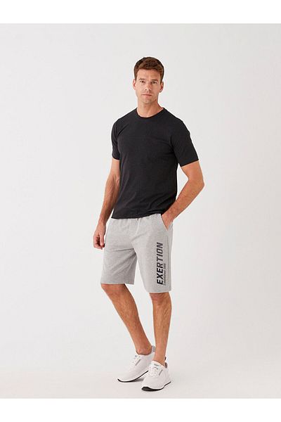 LC Waikiki Standard Fit Men's Shorts