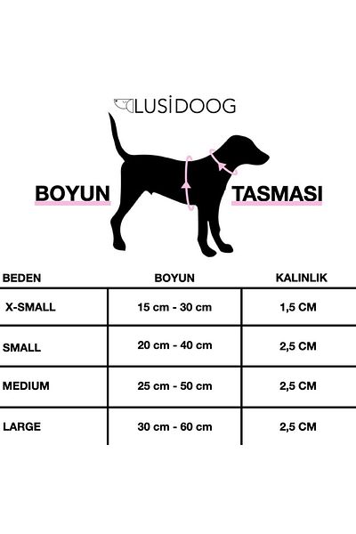 Lusi Doog Dog Collar with Orange Bow Tie Special for Female Dogs Bow Collar