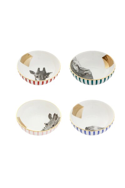 Porland Wild Life 4'lü Mini Kase Seti 10 Cm