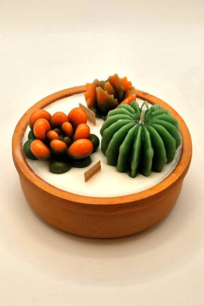 ANCİLLA Büyük Boy Toprak Kapta Egzotik Kokulu Dekoratif Soya Wax Kaktüs Bahçe...