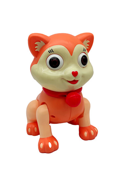 Can Ali Toys CANALİ Toys Pilli Yürüyen Kedi FW-2070A