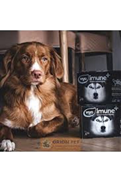 Viyo VİYO İMUNE PLUS DOG SKT:19.01.2028 KÖPEKLER İÇİN BAĞIŞIKLIK GÜÇLE