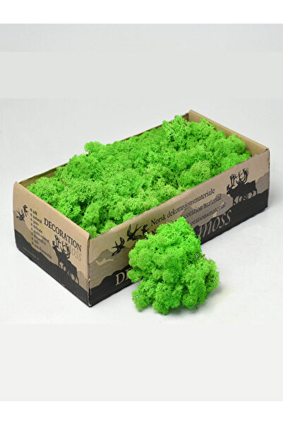 Verticra طحلب الرنة (عبوة 50 جرام) أخضر ساطع (ضوء أخضر عشبي)