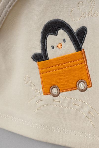 Bebitof 10-Piece Boxed Hospital Discharge Set with Car and Penguin Pattern