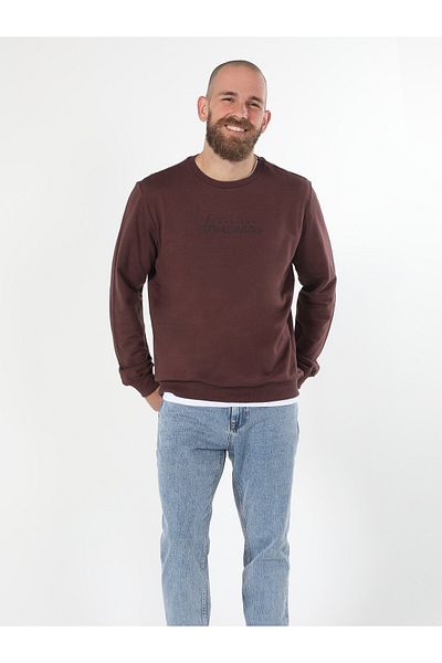 Colin's Hanorac pentru bărbați violet Regular Fit - Cl1060129