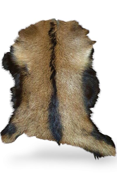 Canarı Hobi Hakiki Oğlak Deri Post, Gerçek Dana Derisi, Koyun Postu, Ev Dekorasyon Fikirleri, 56x54cm