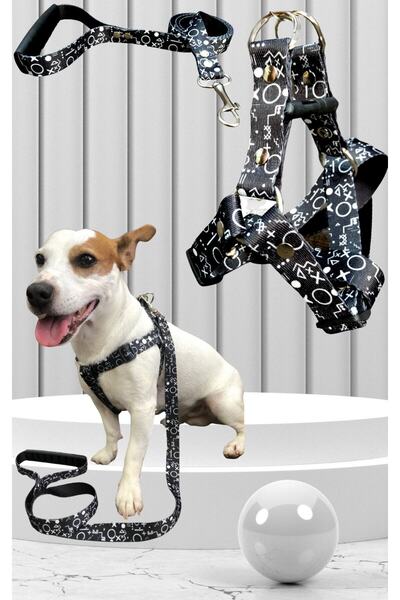 Angelapets Köpek Göğüs Tasması Ve Gezdirme Kayışı Set Geo Serisi