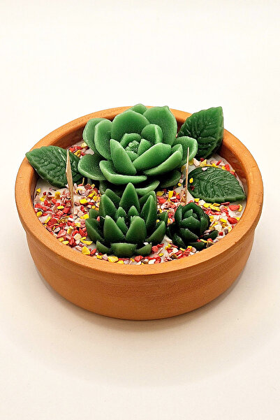 ANCİLLA Büyük Boy Toprak Kapta Bahar Çiçekleri Kokulu Dekoratif Soya Wax Kakt...