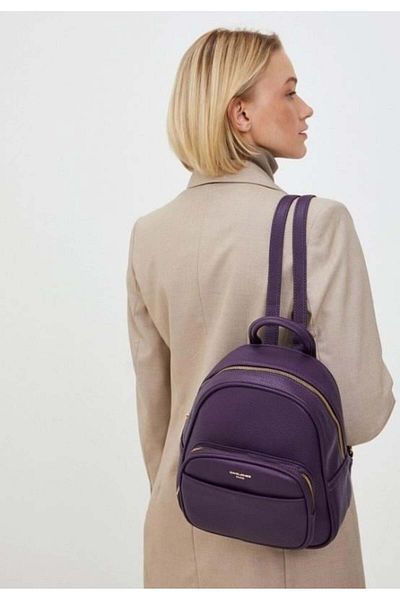 David Jones Purple Backpack