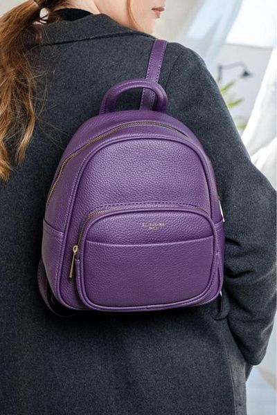 David Jones Purple Backpack