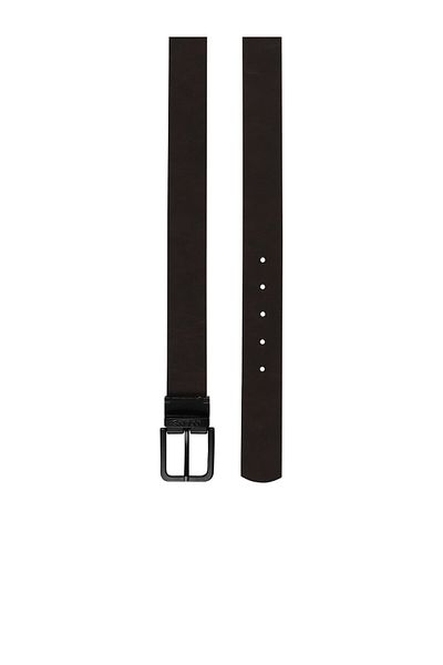 Colin's Multicolored Men's Belt Cl 1056280