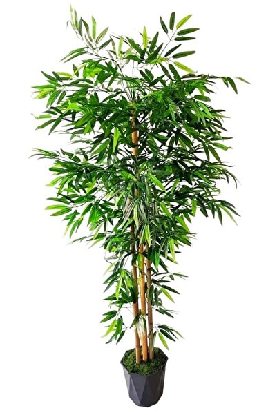 YEŞİLADA Yapay Bambu Ağacı 1.50 Metre Boyunda 6 Adet Orjinal Gövdeli Bambu Ağ...