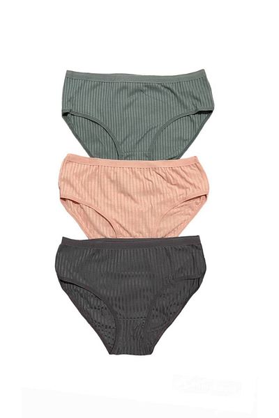 İNSPİRA Large Size Cotton Elastic Women's Panties - Pack of 3