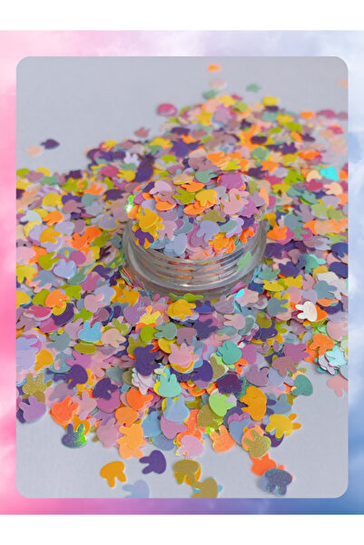 Sirius Hobi Epoksi Tırnak Yüz Makyajı Slime Hologramlı Karışık Renkte Süsler ...