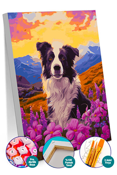 Picasso World Hobby Art Sayılarla Boyama Numaralı Tuval Seti Fırça Boya Dahil...