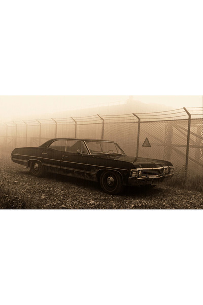 512 STORE 67 İmpala Retro Duvar Poster 30x42 Çerçevesiz