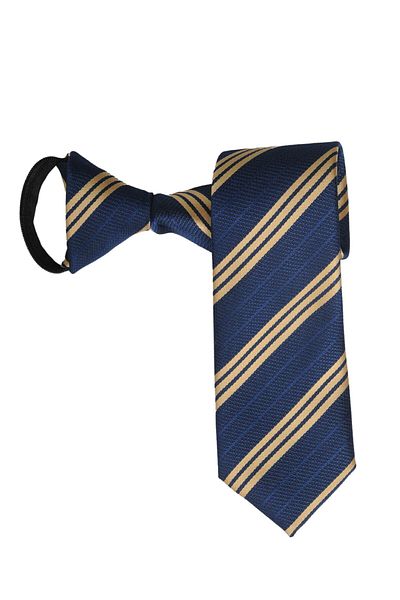 PROKRAVAT Gold Navy Blue Striped Zippered Tie