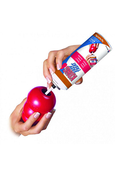 Kong Classic Dog Toy with Reward Chamber Xsmall 6 cm