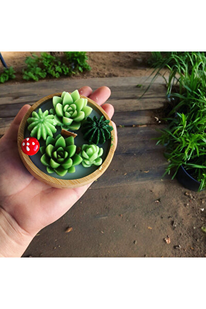 GLARE ATELİER Kaktüs Teraryum Soyawaxlı Mum Lavantalı